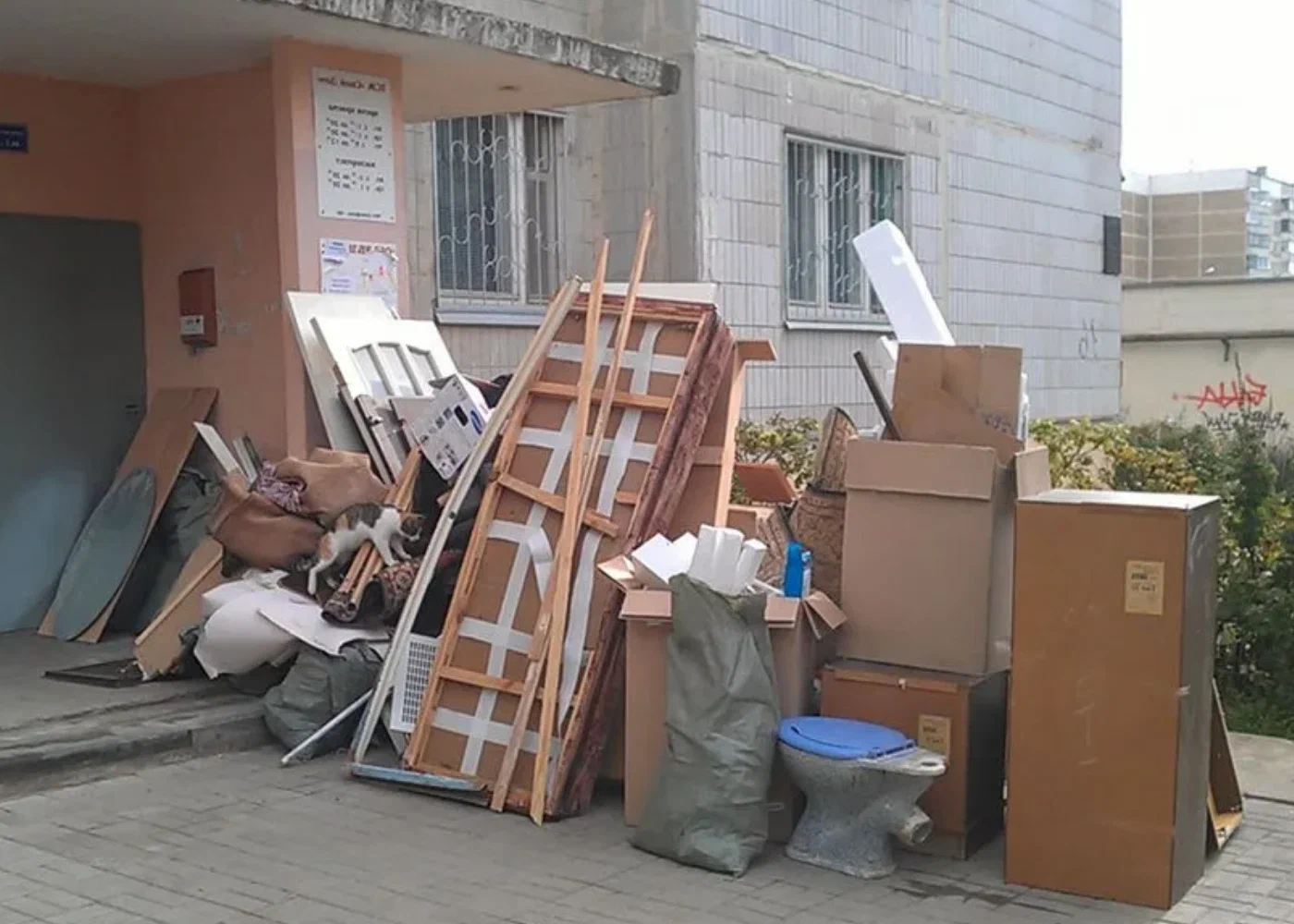Профессиональный вывоз мусора из квартиры в Черняховске в октябре