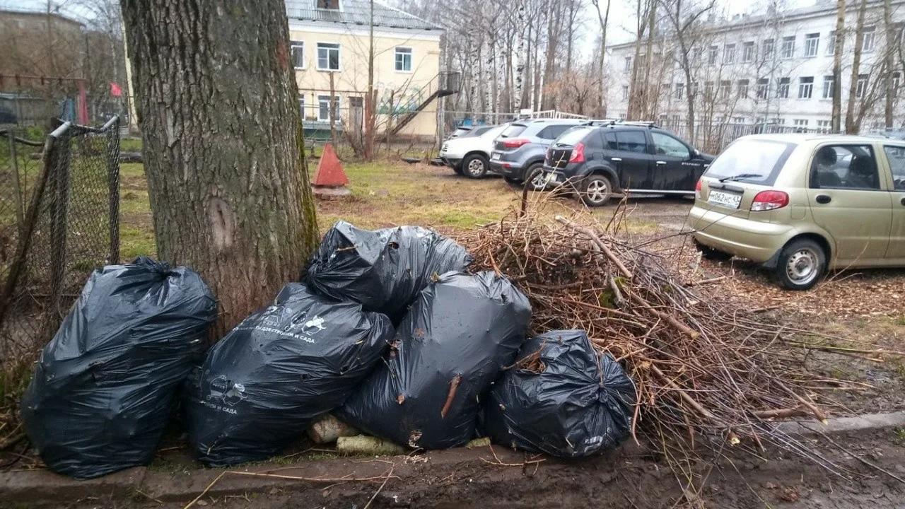 Вывоз мусора после субботника в Черняховске от ПроМусор – уборка и утилизация отходов от 2463 руб