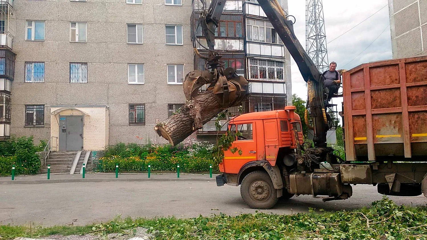Вывоз спиленных веток и деревьев в Черняховске от ПроМусор: порубочные остатки, утилизация, цена от 3039 руб