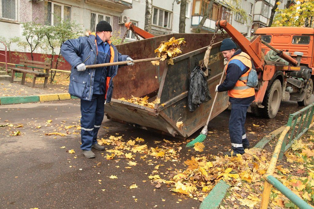 Вывоз опавшей листвы и растительного мусора в Черняховске от ПроМусор – цена от 4716 руб., быстрая уборка и утилизация